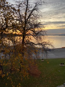 image_43080717-36d3-40f6-ba51-8e420e37ef33.img_6630