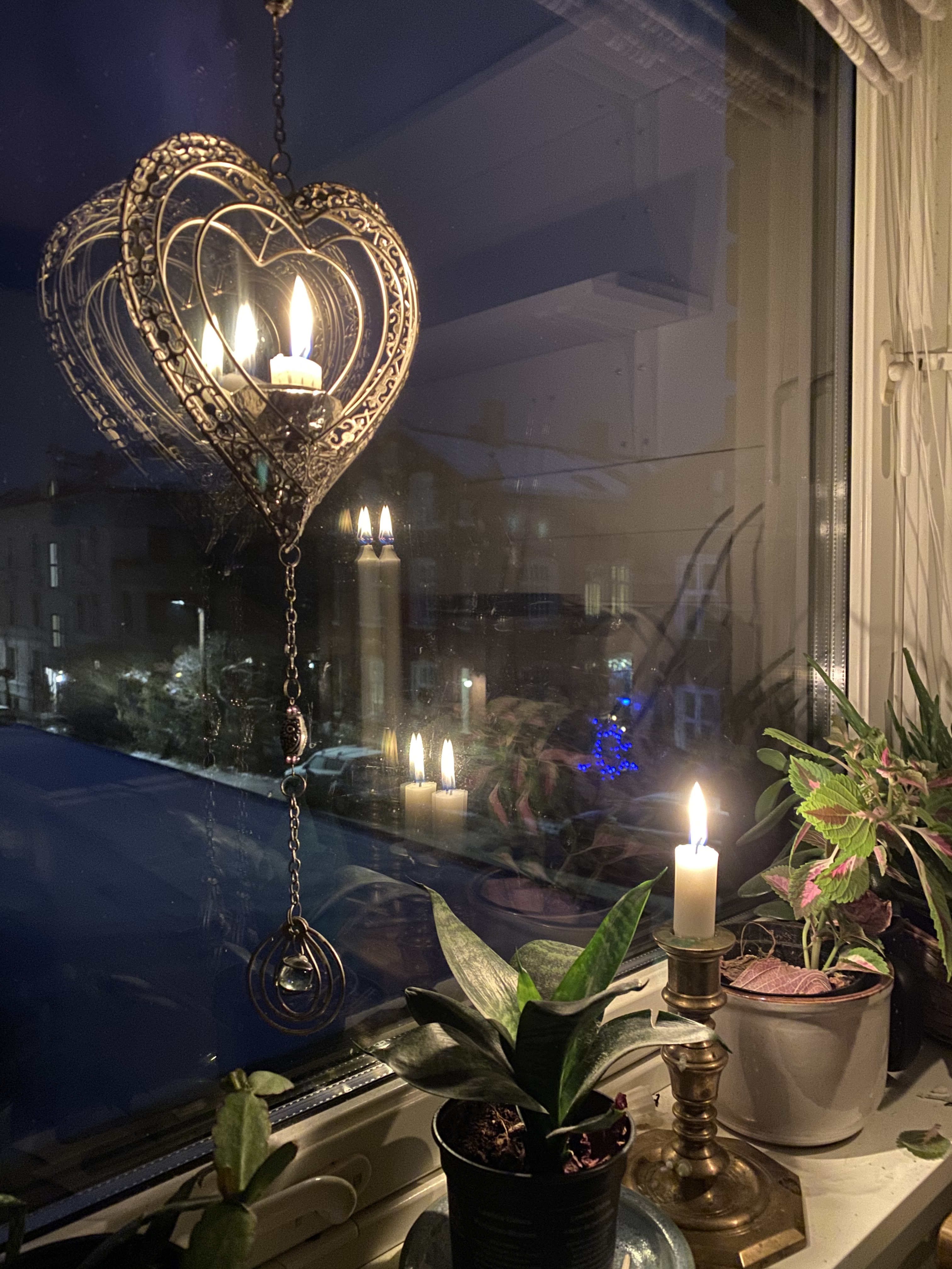 image_3a71e2b3-3fbd-4117-926d-df0c7cc76f03.img_6792