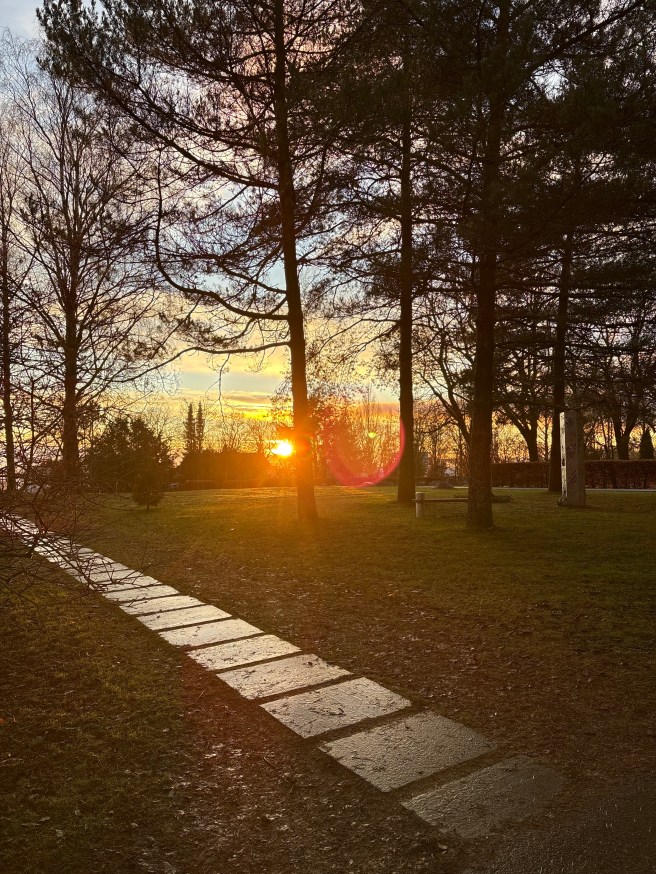 Midtvinters solnedgang på Grefsen kirkegård